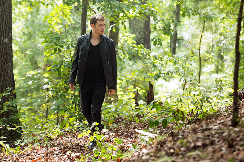 Klaus in the Bayou - The Originals