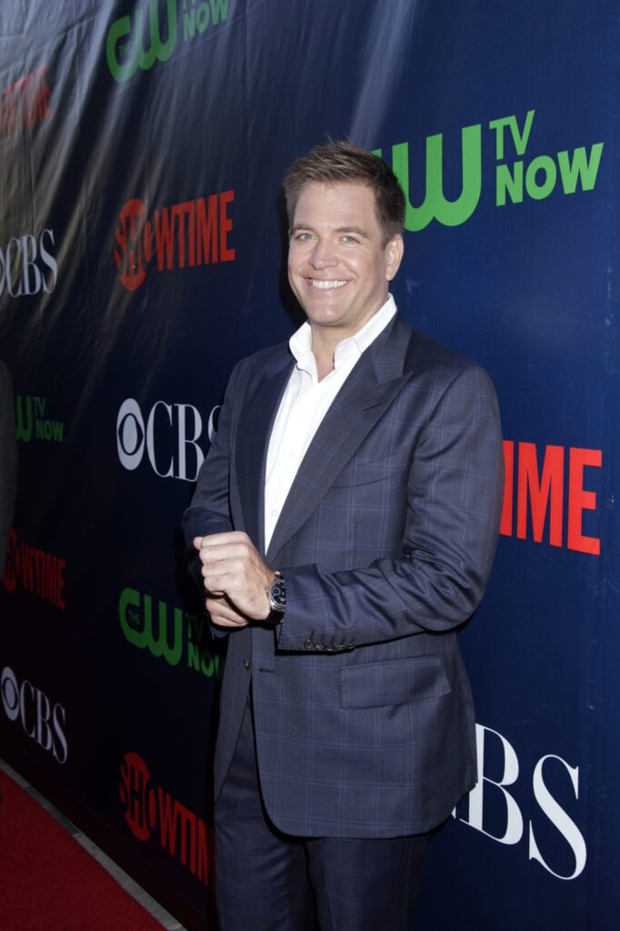 Michael Weatherly at TCA CBS party - NCIS