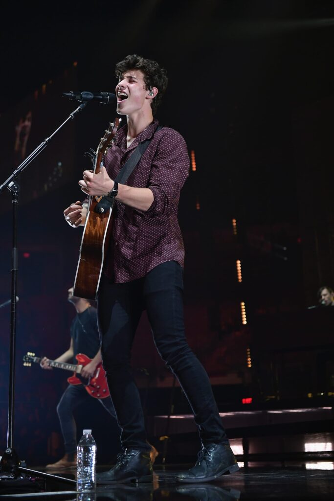 Shawn Mendes In Concert