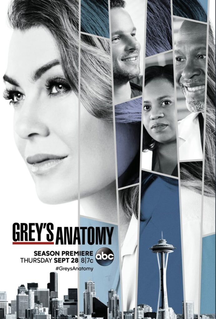 Grey's Anatomy Season 14 Poster