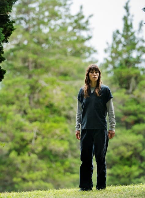 Searching the Property - The Sinner Season 1 Episode 6