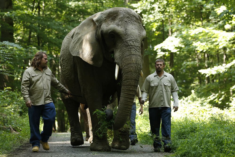Elephant Runway - The Blacklist Season 5 Episode 3