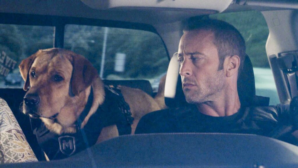Cracking Down - Hawaii Five-0