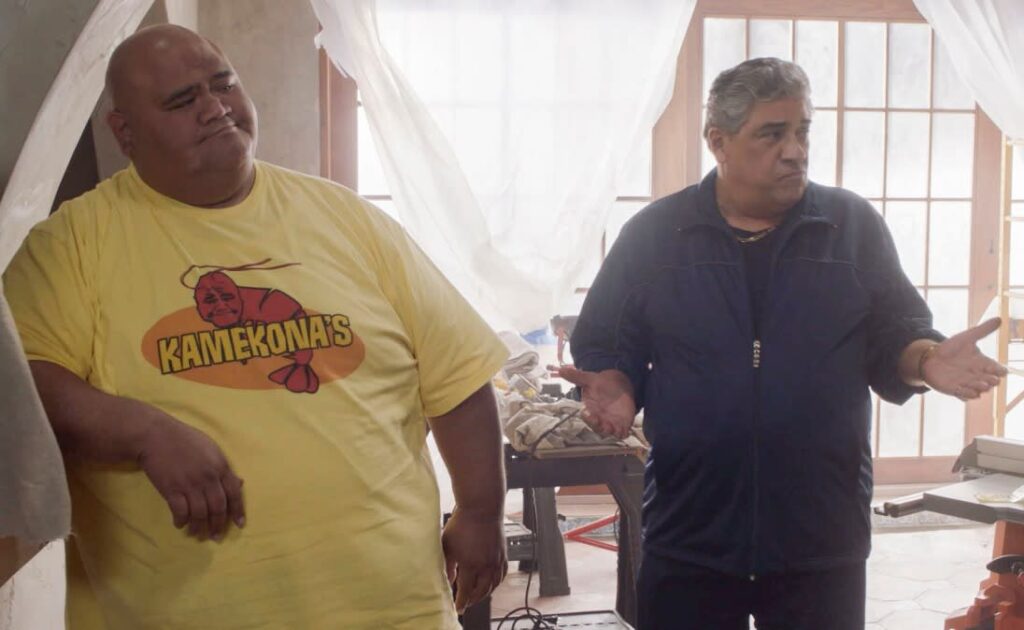 Odd Couple - Hawaii Five-0 Season 8 Episode 15