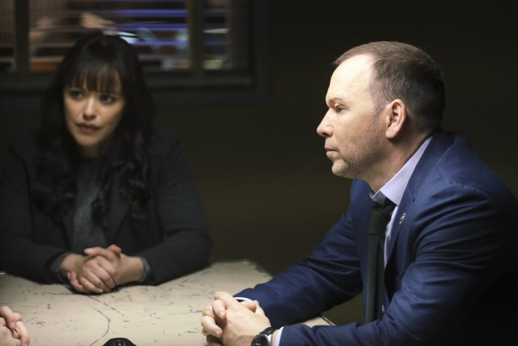 Double Life - Blue Bloods