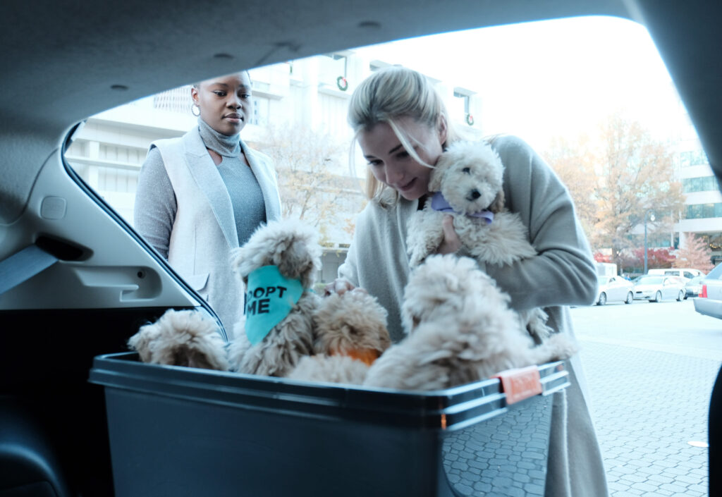 Therapy Pups - The Resident Season 1 Episode 9