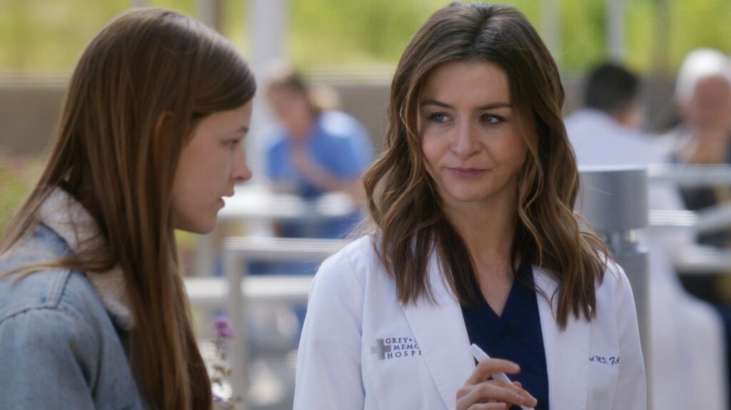 Amelia the Sponsor - Grey's Anatomy Season 14 Episode 21