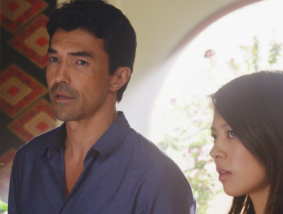 Looking for an Answer - Hawaii Five-0 Season 8 Episode 19