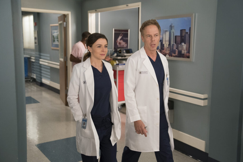 Partnering Up Again - Grey's Anatomy Season 14 Episode 18