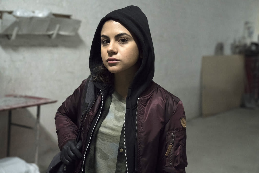 Picture Perfect - The Blacklist Season 5 Episode 17