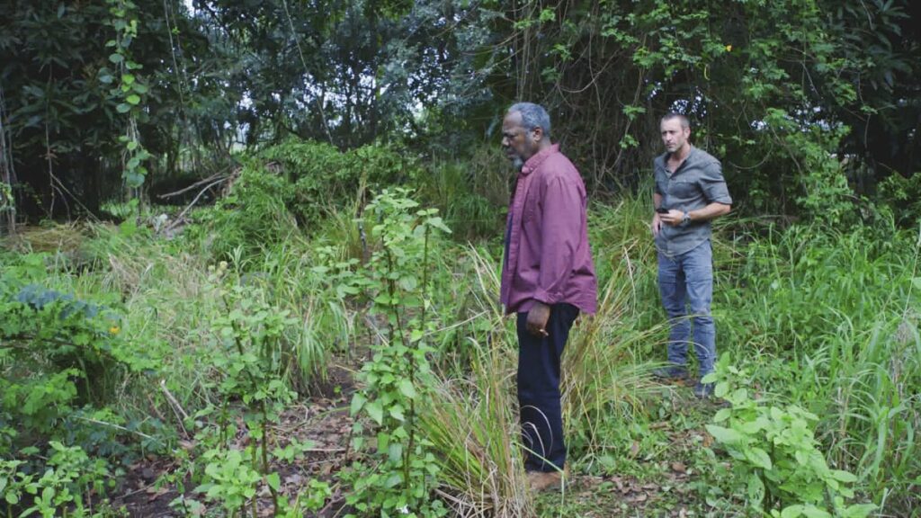 Where The Bodies Are Buried - Hawaii Five-0