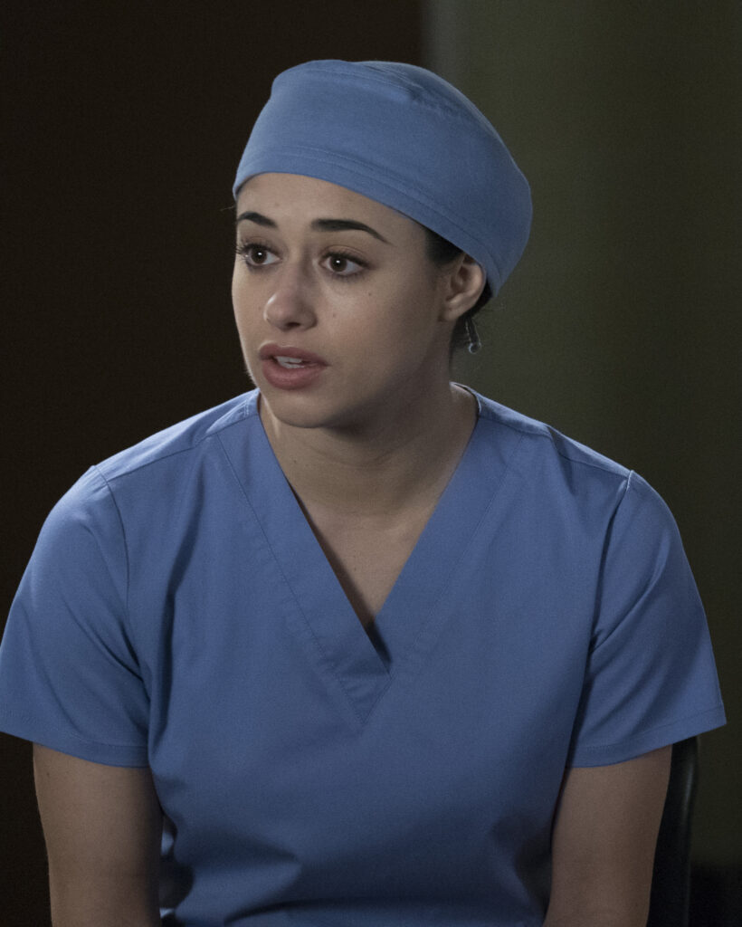 World Crashing Down - Grey's Anatomy Season 14 Episode 19