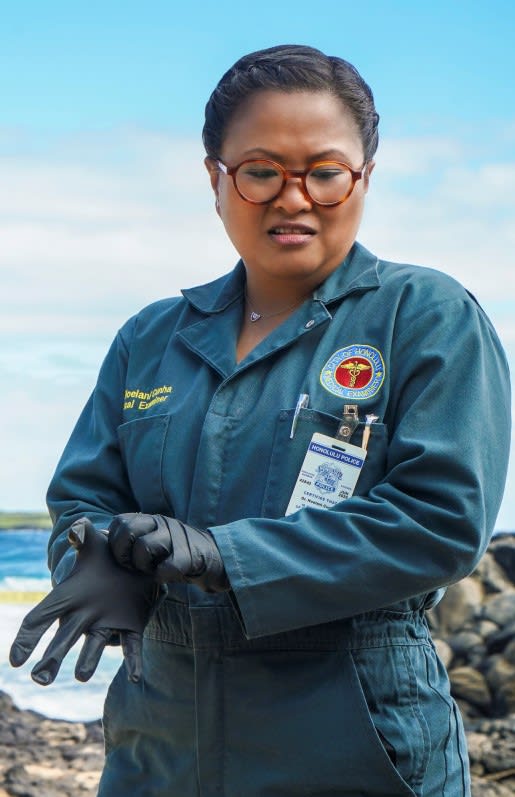Difficult Assessment - Hawaii Five-0 Season 9 Episode 13