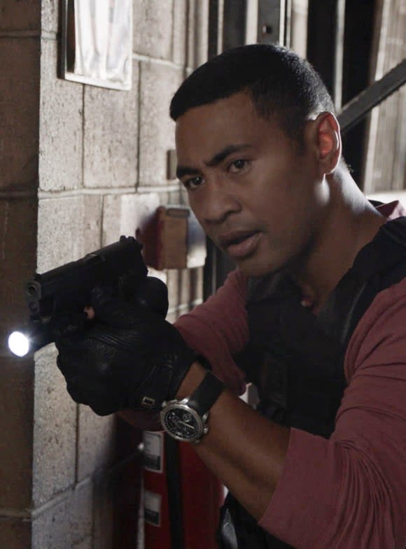 Careful Search - Hawaii Five-0 Season 9 Episode 19