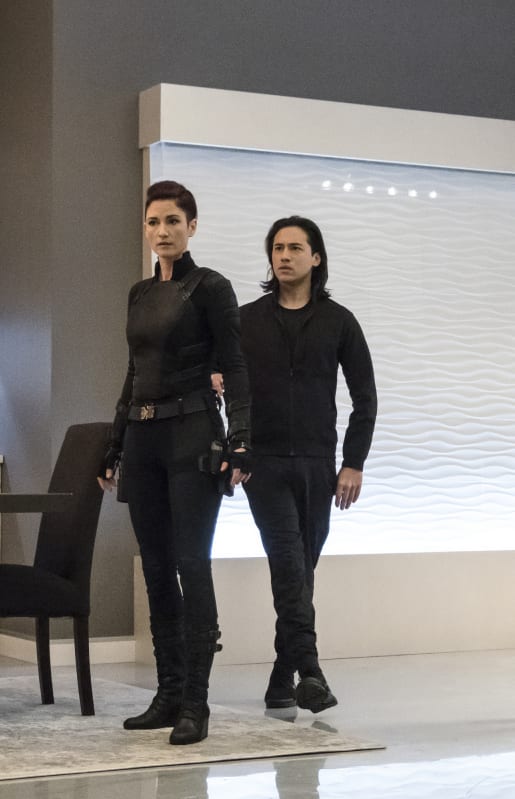 Roundhouse HIgh Kick - Supergirl Season 4 Episode 12