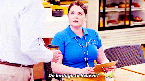 The Return of Dina's Birds