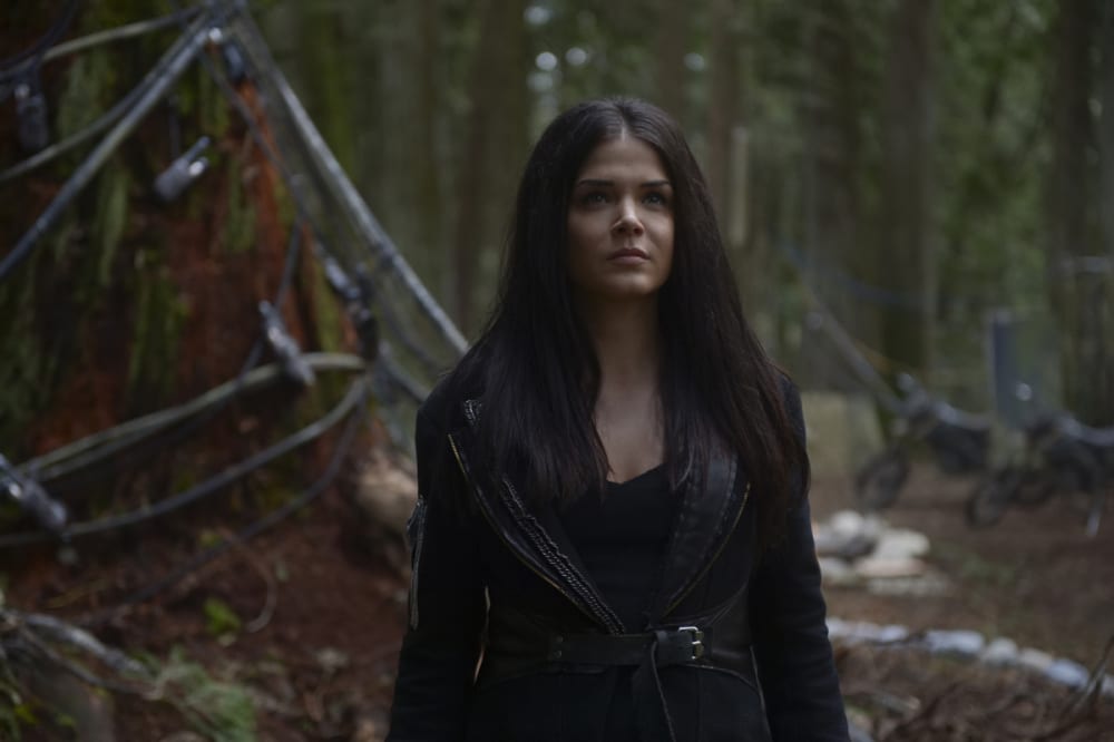 Working Together - The 100
