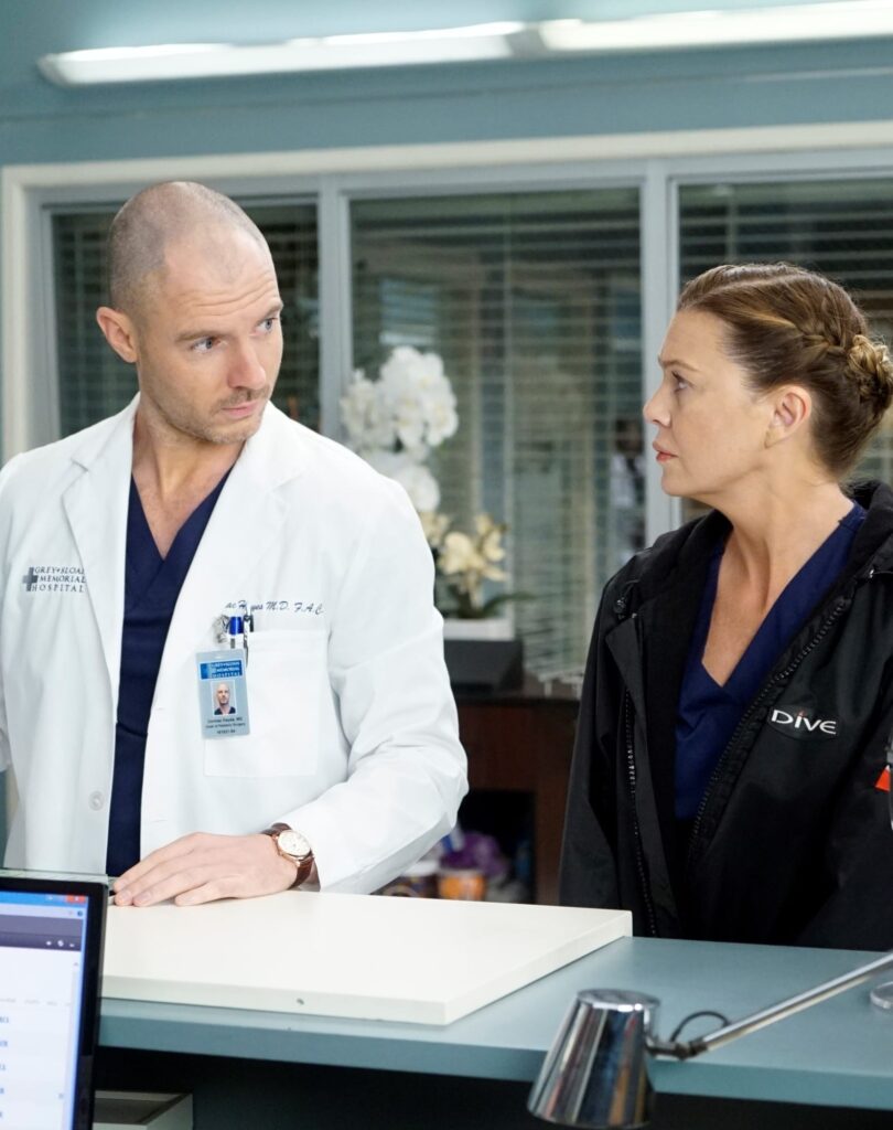 Cristina's Gift - Tall - Grey's Anatomy Season 16 Episode 10