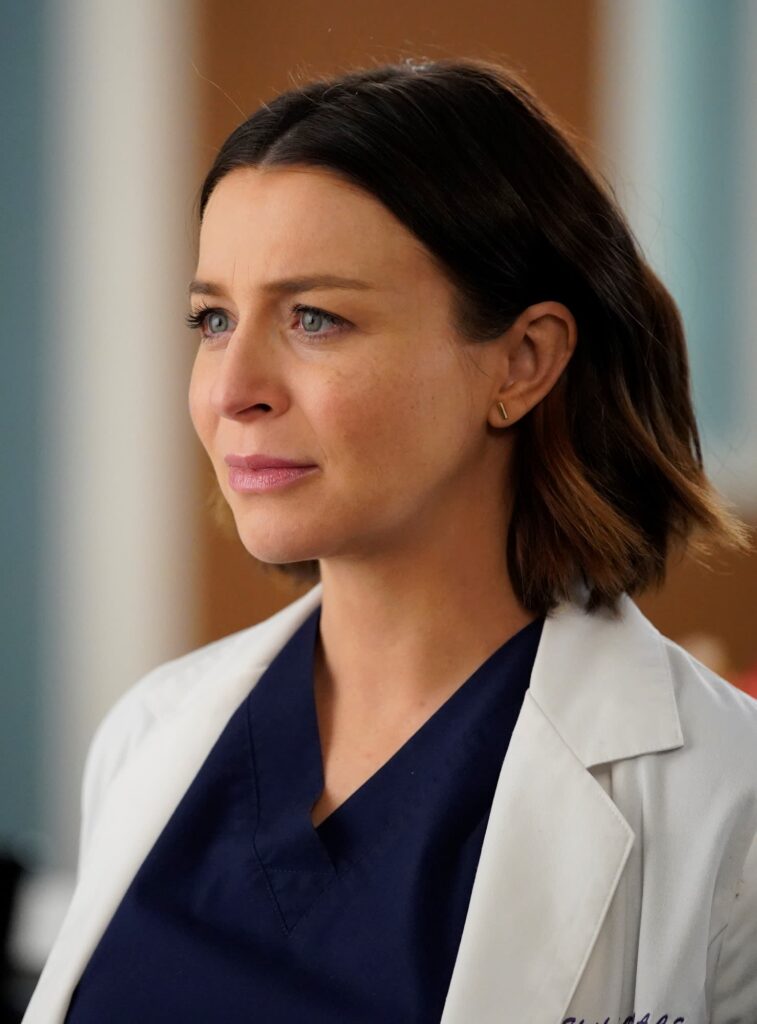 Amelia's Dilemma - tall - Grey's Anatomy Season 16 Episode 13