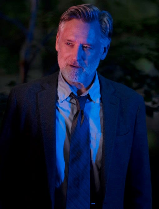 Harry Ambrose on the Case - The Sinner Season 3 Episode 1