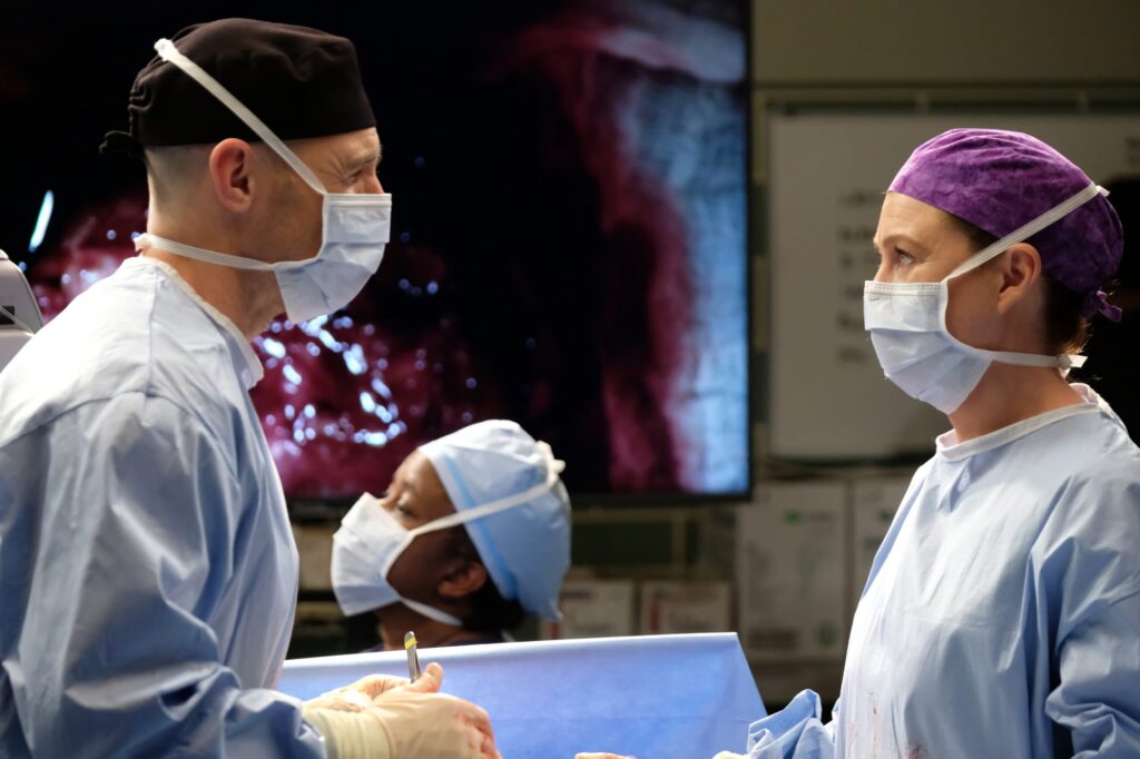 Widow Club - Grey's Anatomy Season 16 Episode 15