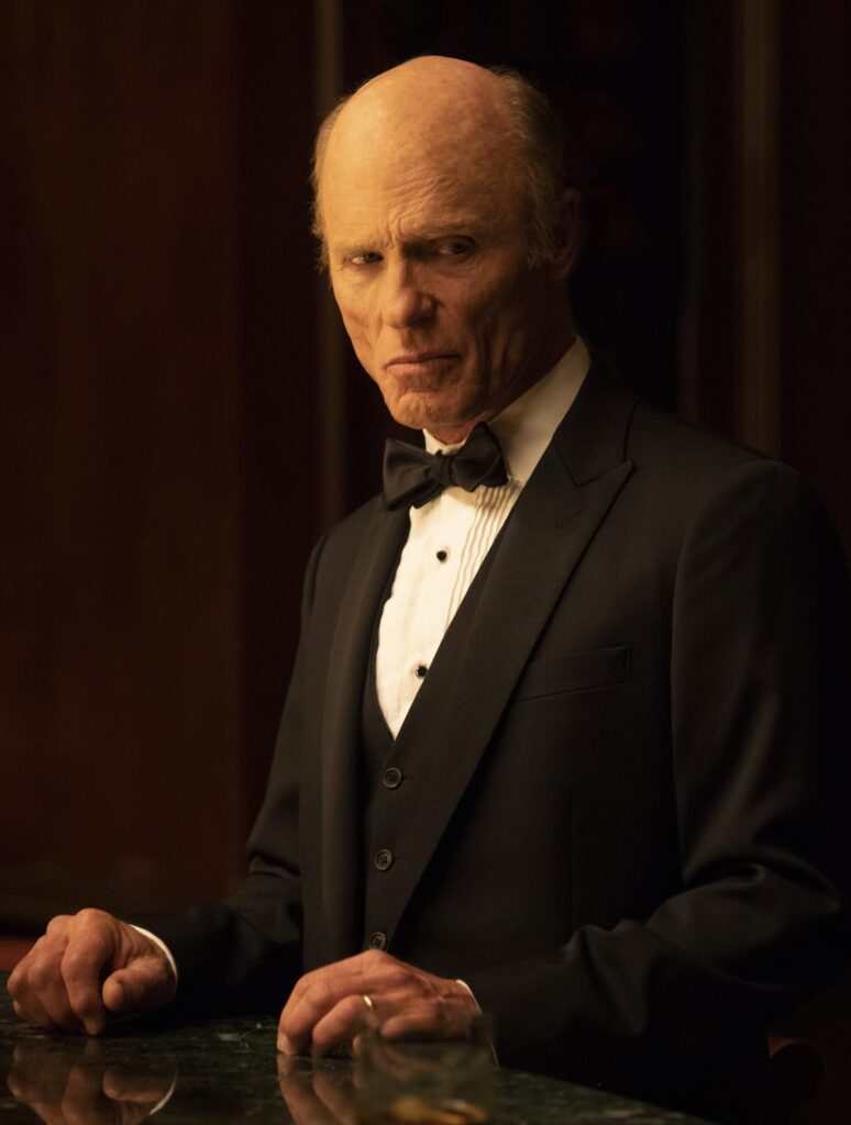 William in Black - Westworld Season 2 Episode 9