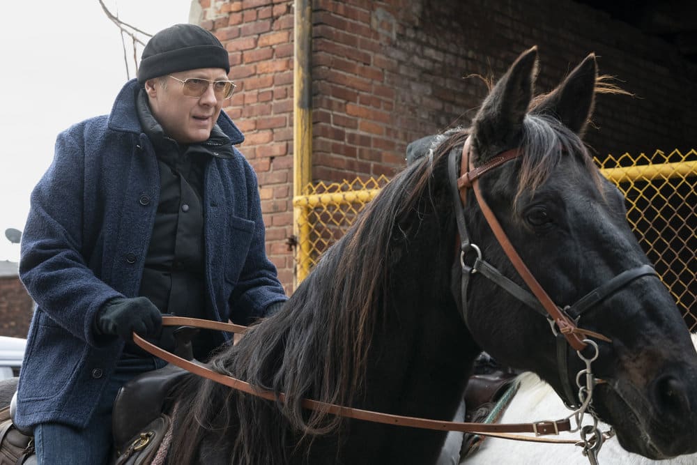 Going After an Art Forger - The Blacklist