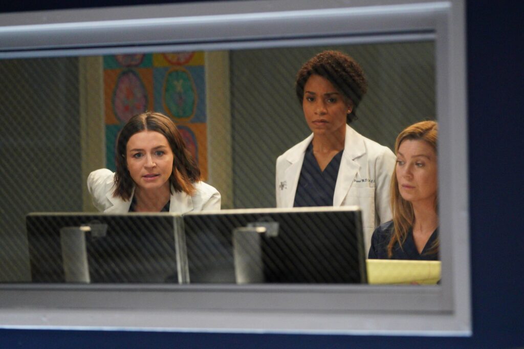 Twisted Sisters on the Case - Grey's Anatomy Season 16 Episode 20