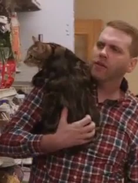 Emotional Support Cat - 90 Day Fiance: The Other Way Season 2 Episode 5