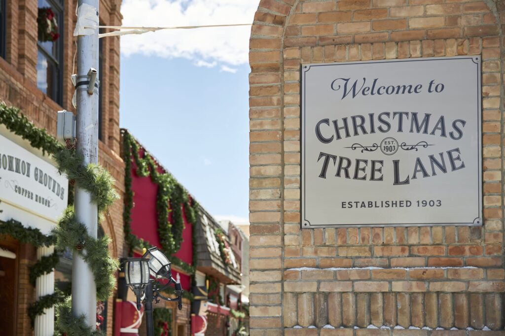 Christmas Tree Lane Celebration