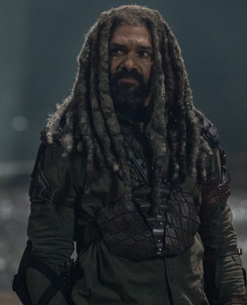 The King Remembers - The Walking Dead Season 10 Episode 16