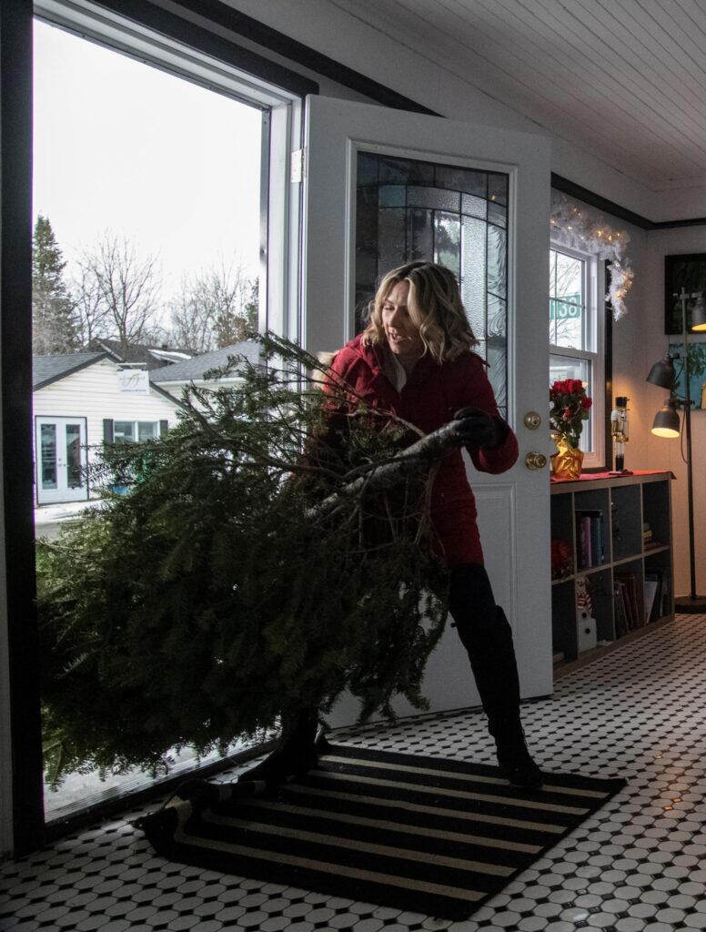Wrestling with the Tree - Candy Cane Christmas - Tall