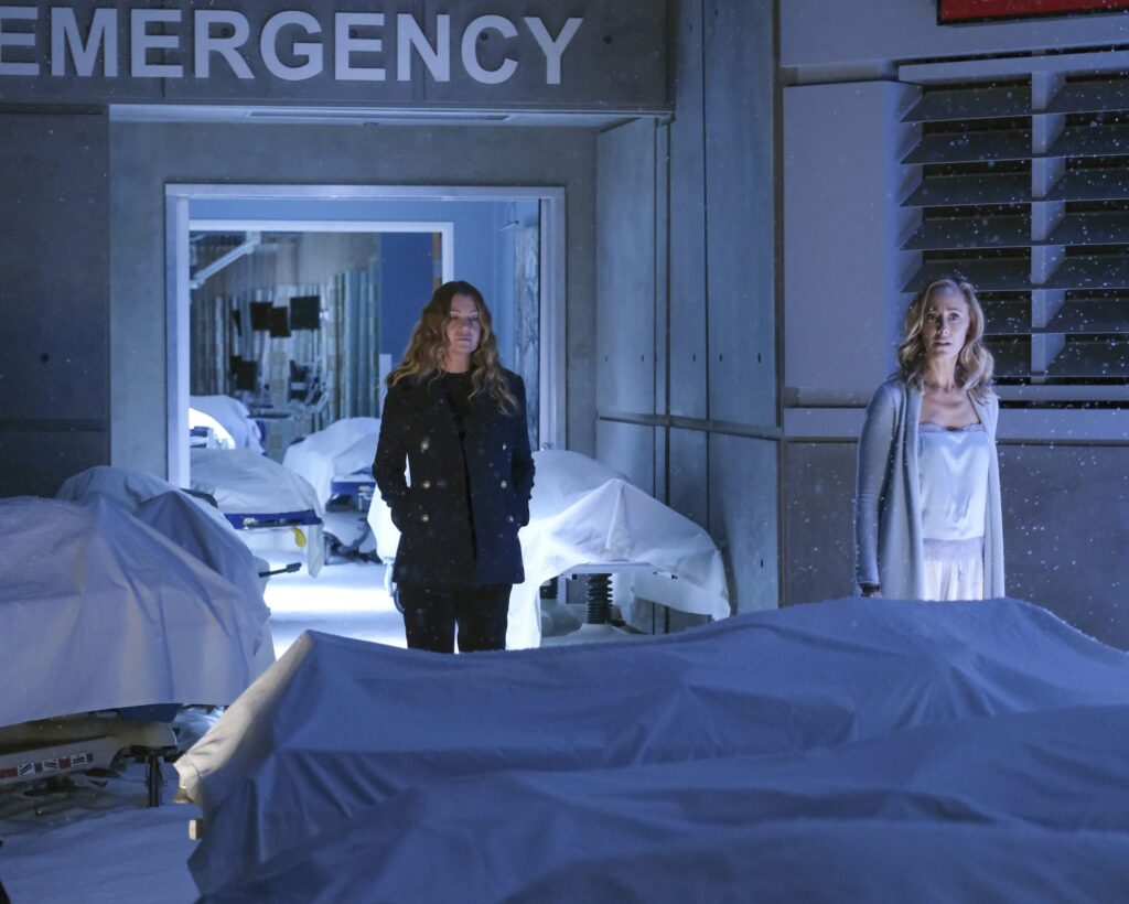 Teddy Dream - Grey's Anatomy Season 17 Episode 9