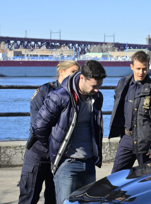 A Controversial Arrest - Blue Bloods Season 11 Episode 12