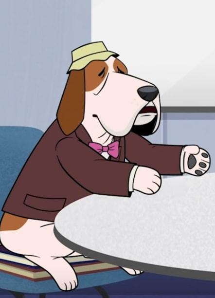 Dog With Bucket Hat
