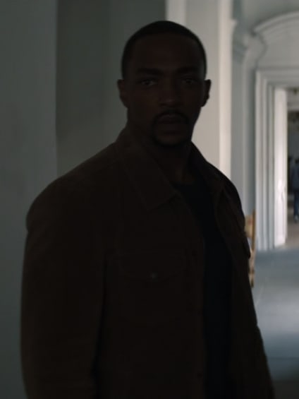 Sam - The Falcon and The Winter Soldier Season 1 Episode 4