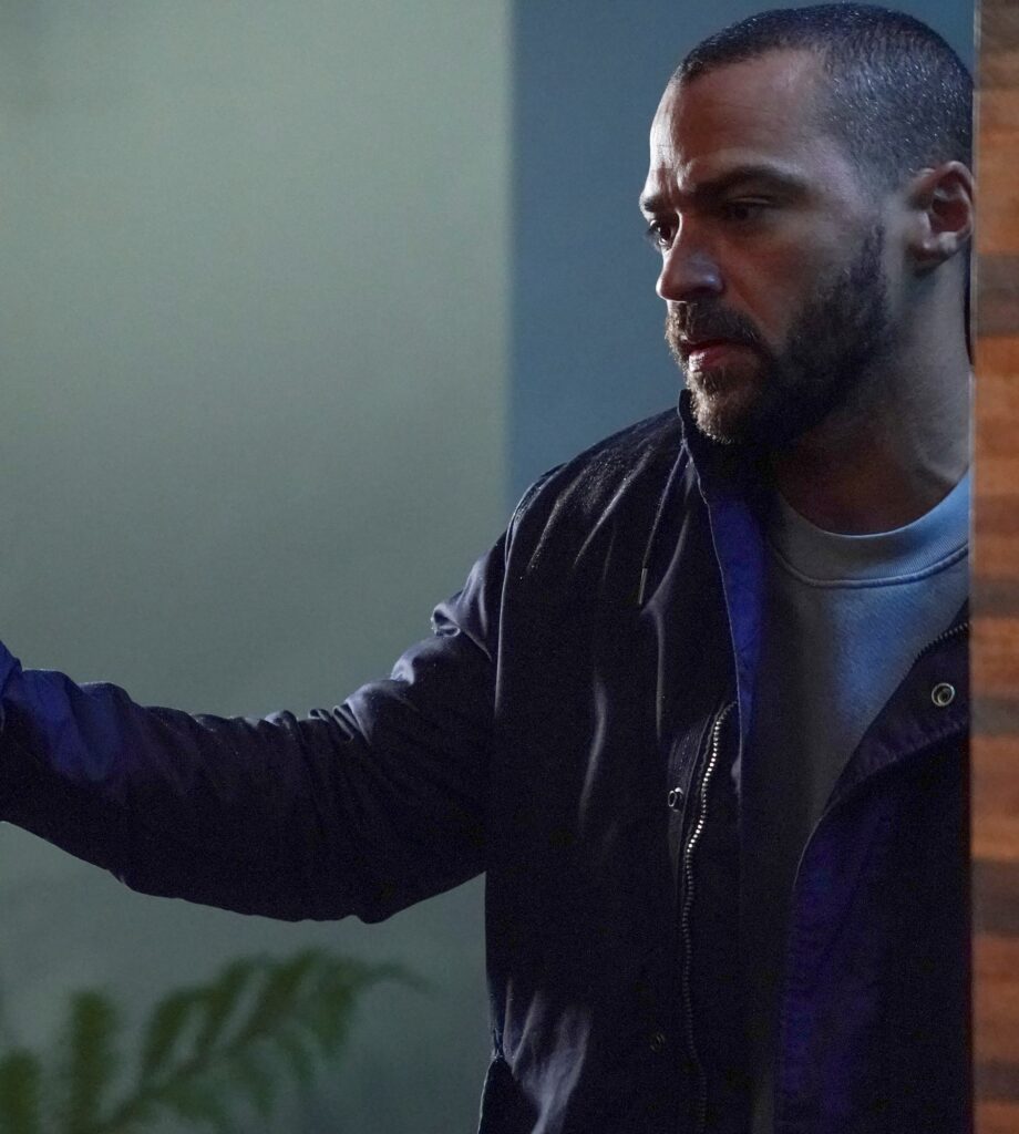 Jackson's Purpose - Tall - Grey's Anatomy Season 17 Episode 14