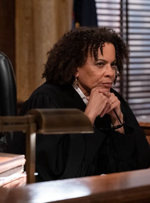 Presiding Over An Unusual Case - Law & Order: SVU Season 22 Episode 15