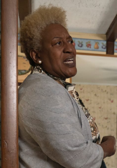 Judge Vinetta - The Good Fight Season 5 Episode 9