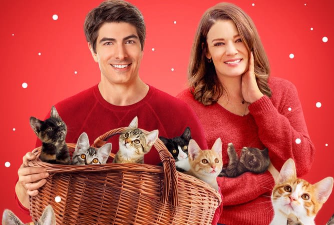 Kimberely Sustad and Brandon Routh on Reteaming for The Nine Kittens of Christmas