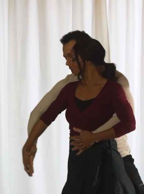 Guiding Lucy - A Christmas Dance Reunion