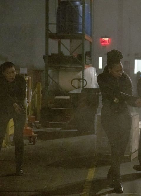 A Critical Arrest - Law & Order: Organized Crime Season 2 Episode 18