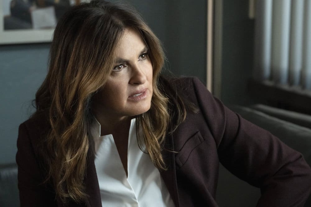 A Missing Person Case - Law & Order: SVU