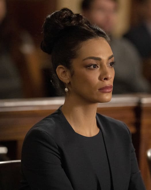 Exposing a Suspect - Law & Order Season 21 Episode 6