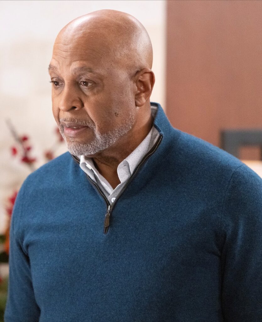 Risking It for Schmitt -tall  - Grey's Anatomy Season 18 Episode 15