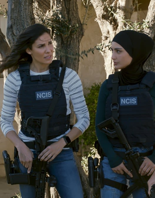 Working Dog -- Tall - NCIS: Los Angeles Season 13 Episode 16