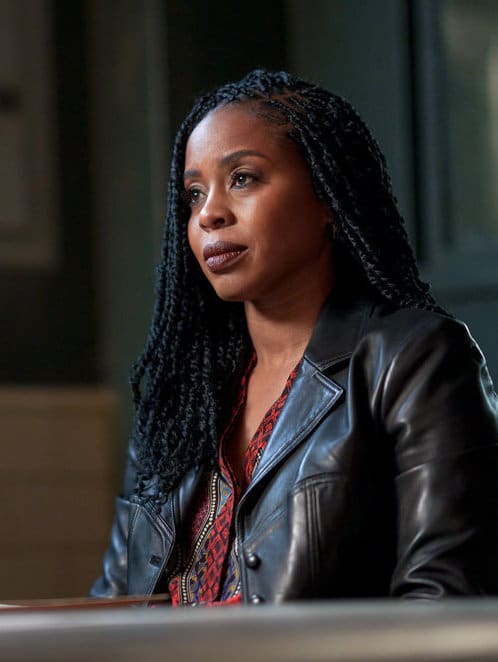 Trying to Protect Stabler - Law & Order: Organized Crime Season 2 Episode 21