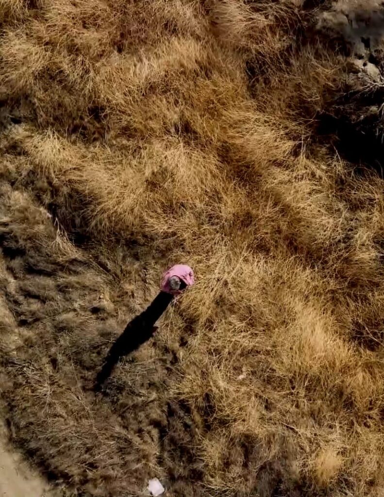 Searching for the Victim