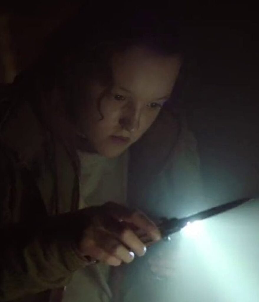 Ellie Searches
