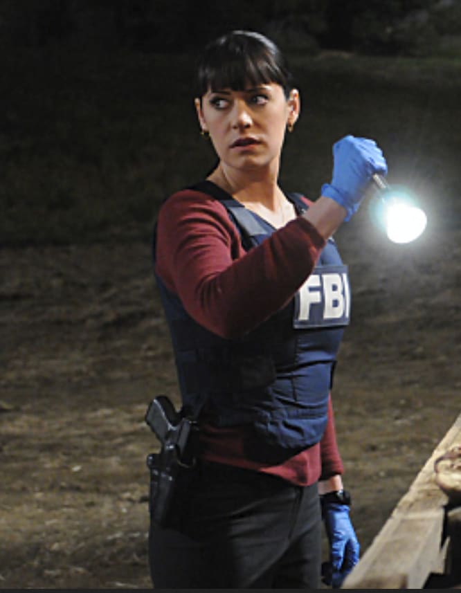 To Hell and Back Investigating - Criminal Minds